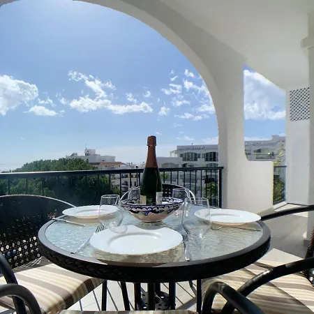 Ap241 - Verdemar ネルハ